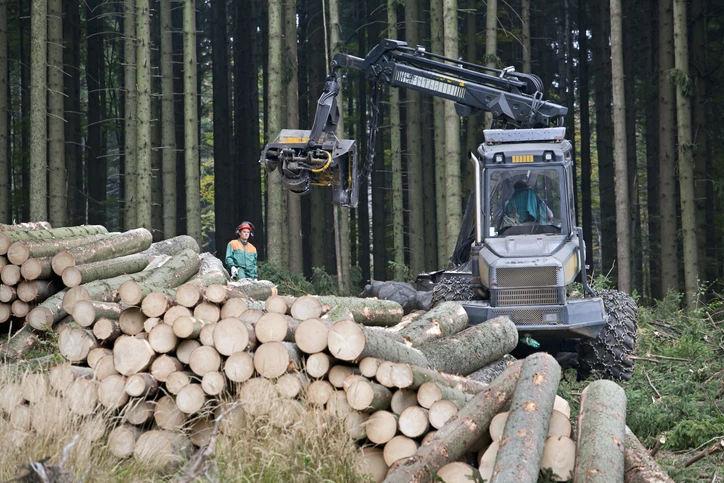 maszynowe pozyskiwanie drewna