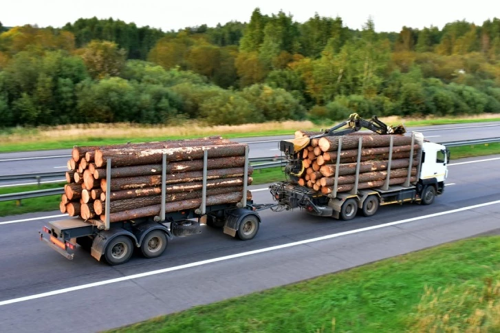 ciężarówka do transportu drewna